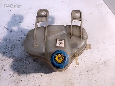 Vaschetta Compensazione Radiatore (Fiat) 55700508 Usato