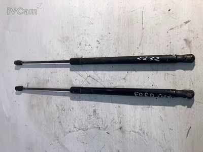 Asta Ammortizzante Portello Post. (Ford) 1666068 Usato