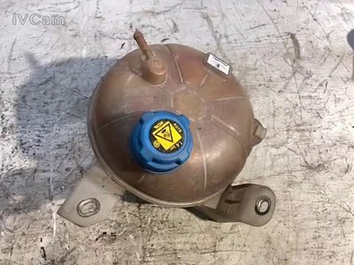 Vaschetta Compensazione Radiatore (Alfa Romeo) 50509770 Usato