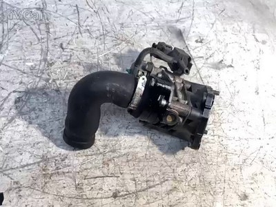 Corpo Farfallato (Fiat) 55195014 Usato