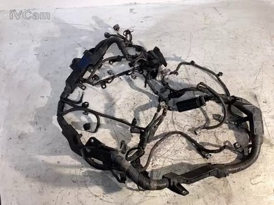 Cablaggio Iniezione (Toyota) Non applicabile Usato