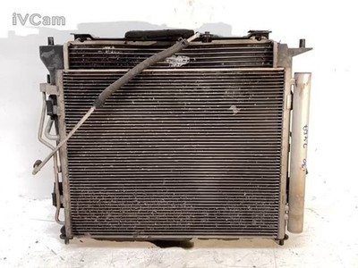 Radiatore (Hyundai) 253102L600 Usato