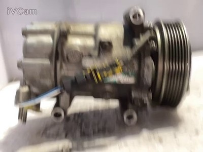 Compressore A/c (Citroen) SD6V12 1449F Usato