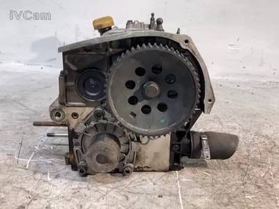 Miniatura 11