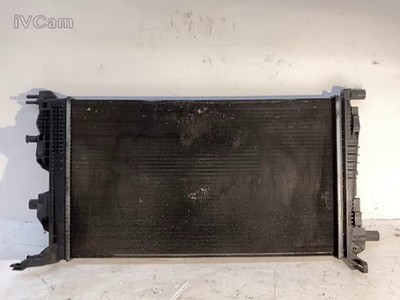 Radiatore (Renault) 214105150R Usato