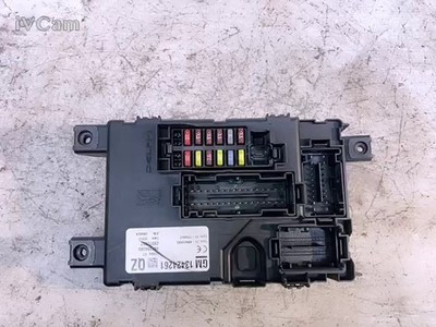 Body Computer (Opel) 13424261 Usato