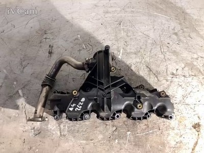 Collettore Aspirazione (Audi) 03L129711BA Usato