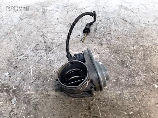 Corpo Farfallato (Volkswagen) 038128063G Usato