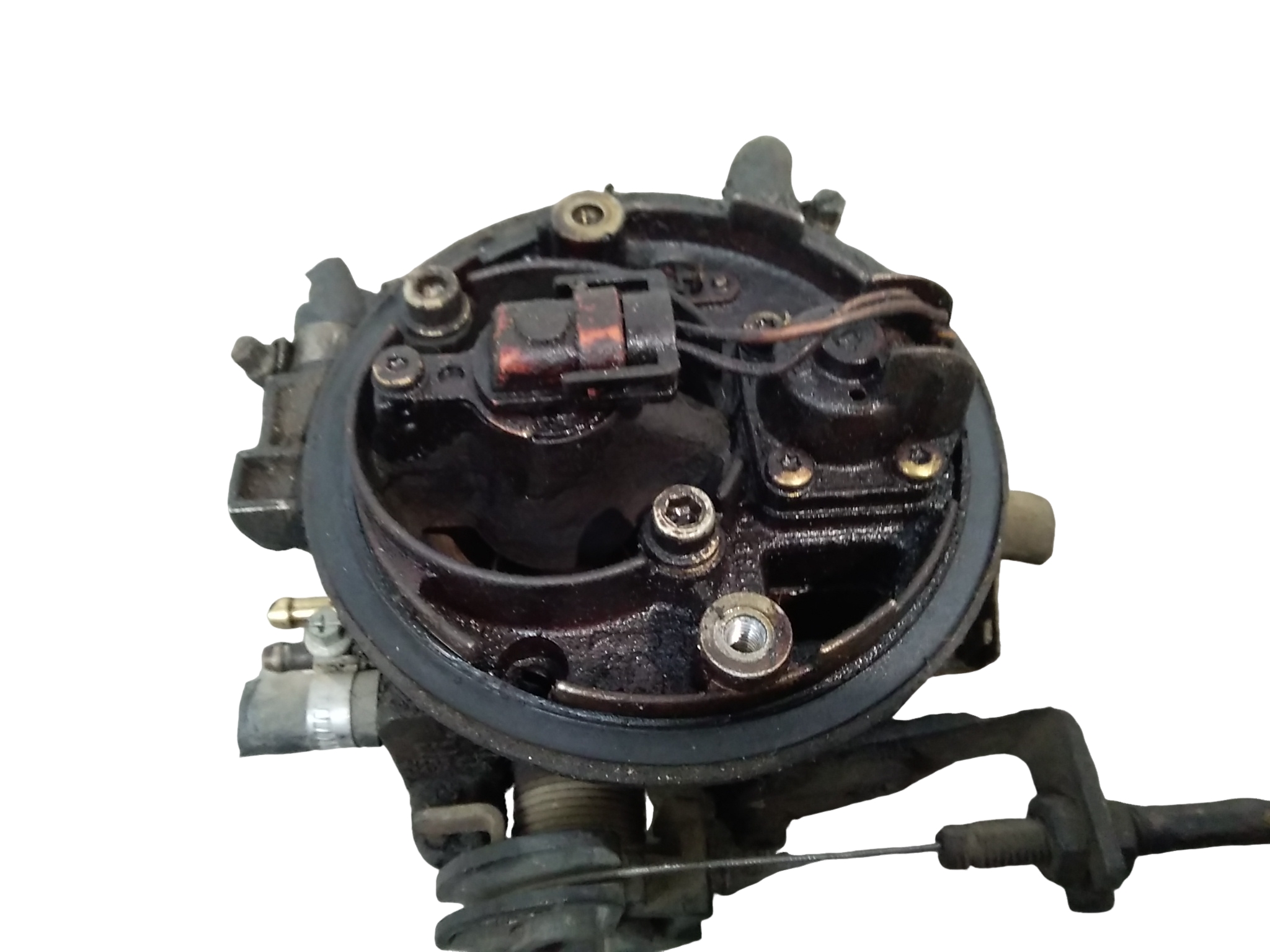 Miniatura 7