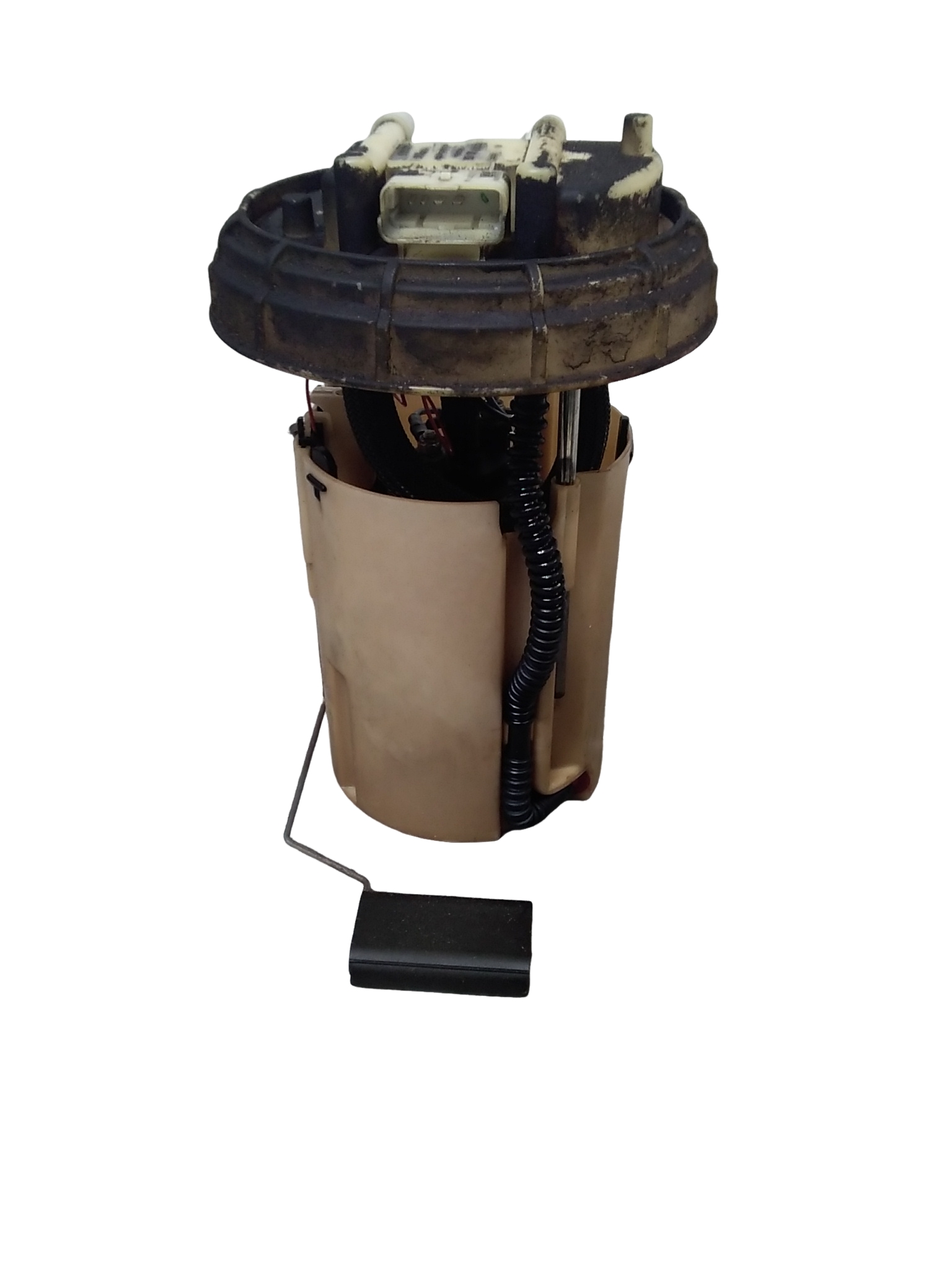 Miniatura 8