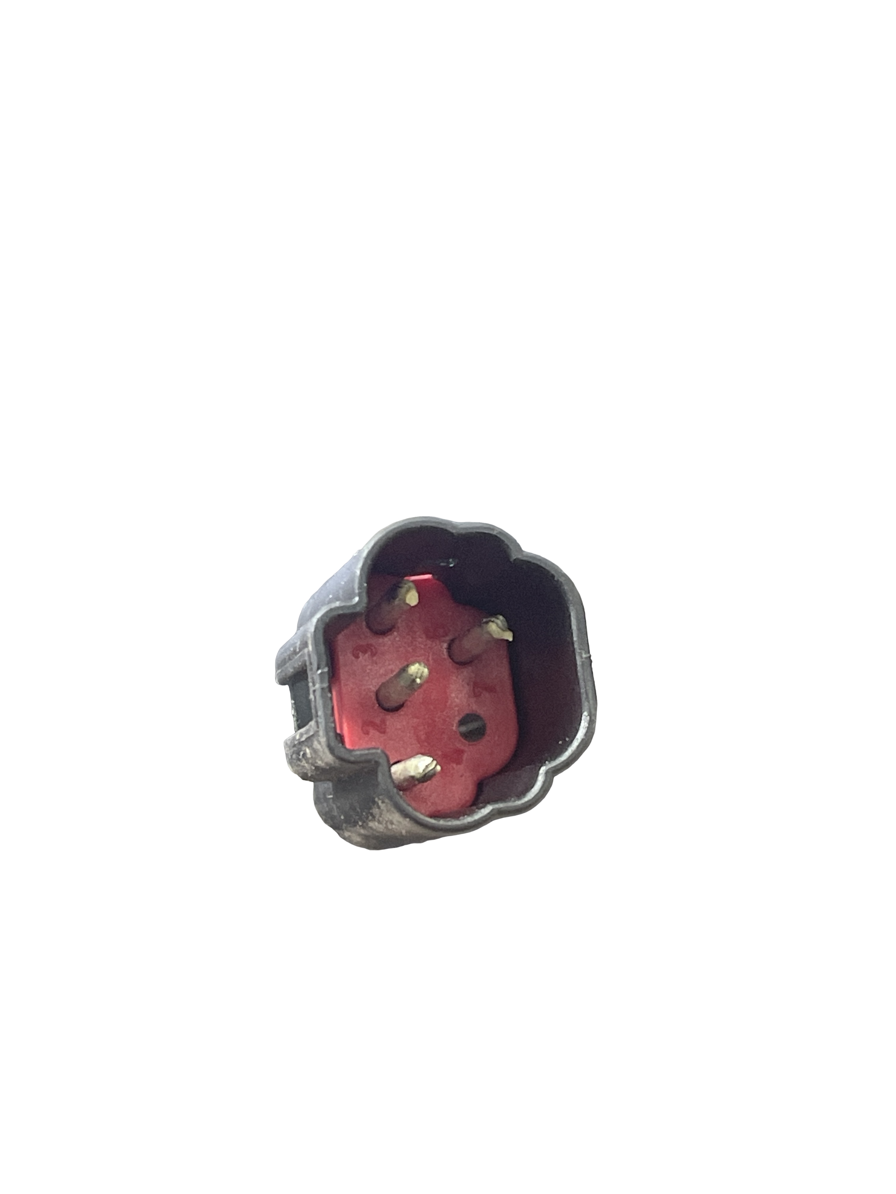 Miniatura 6