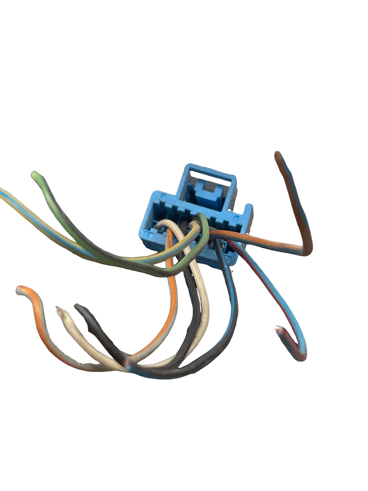 Miniatura 5