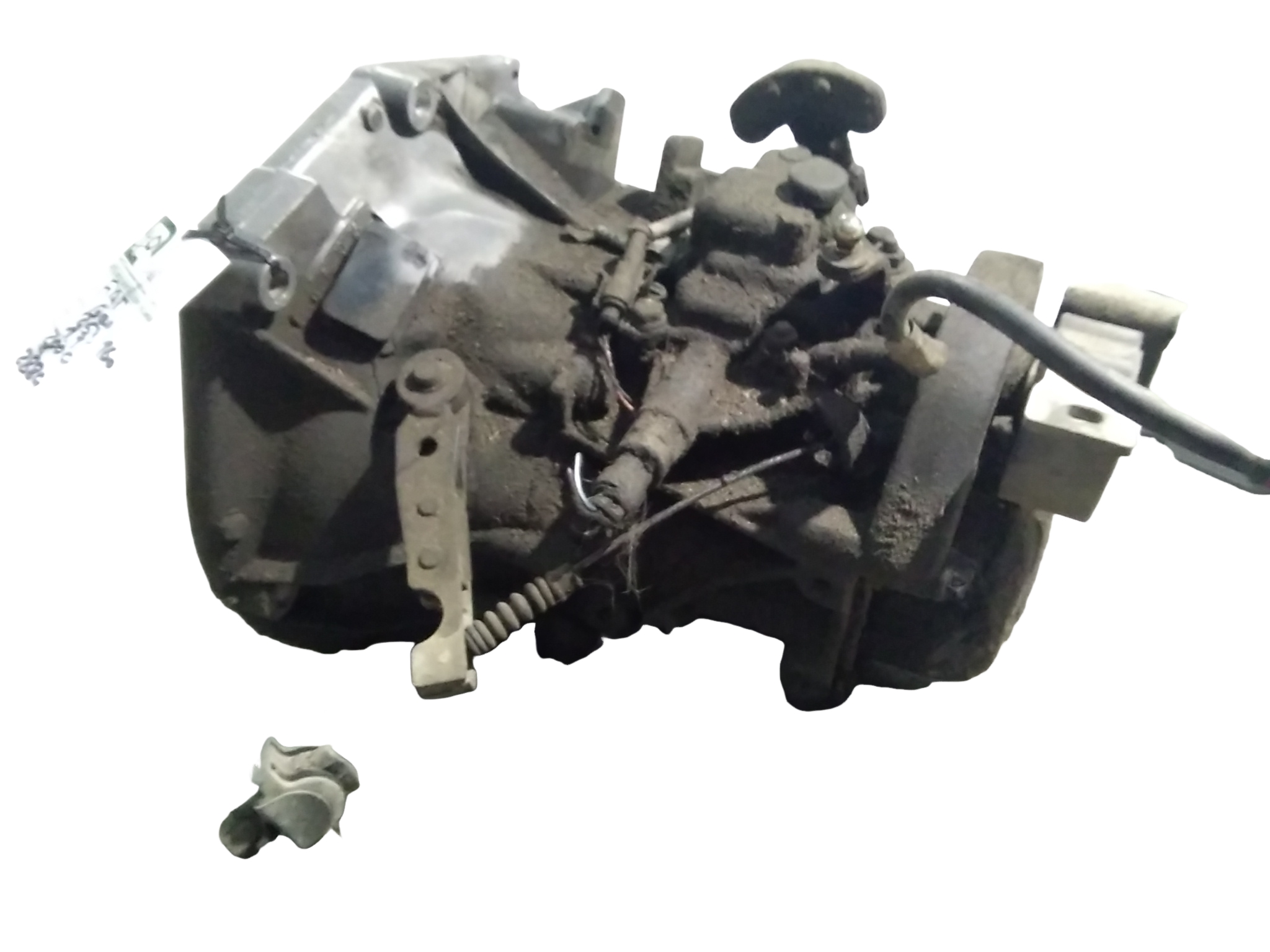 Miniatura 7