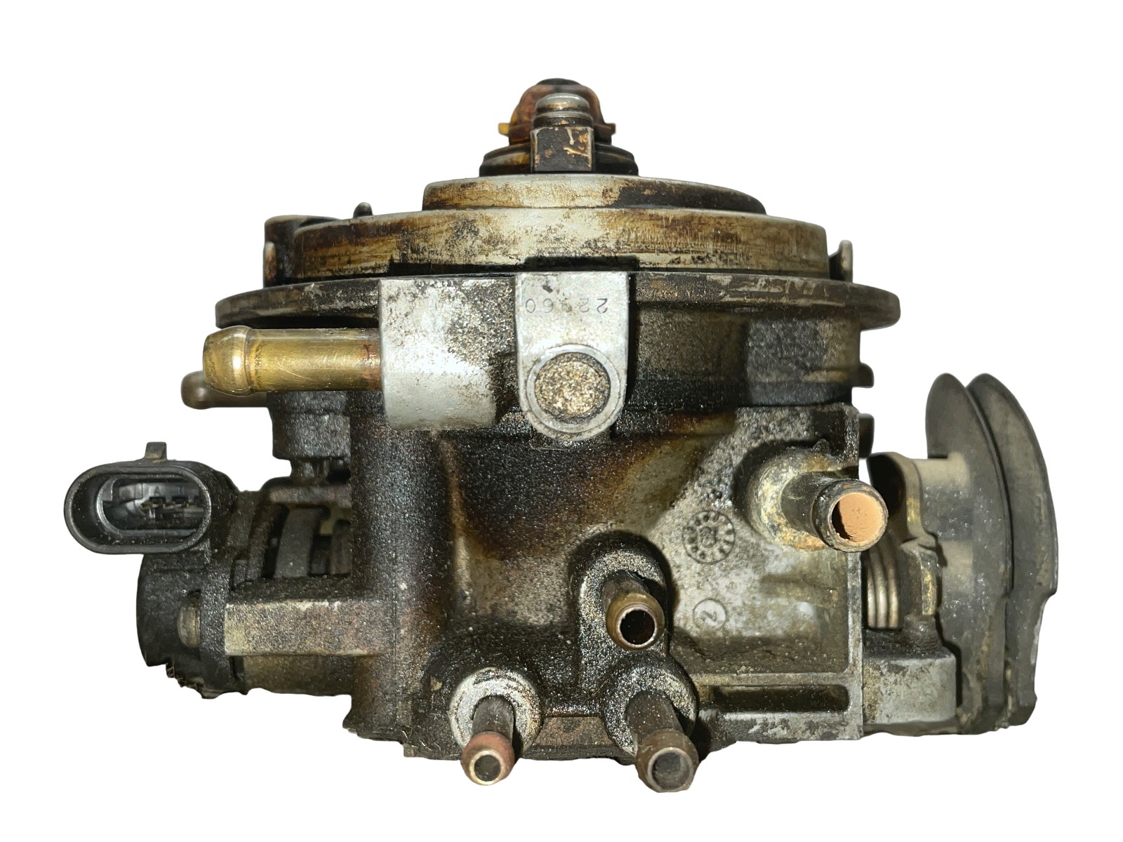 Miniatura 4