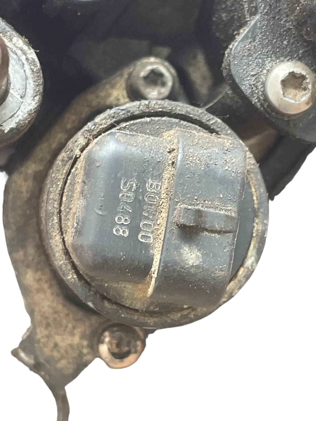 Miniatura 8