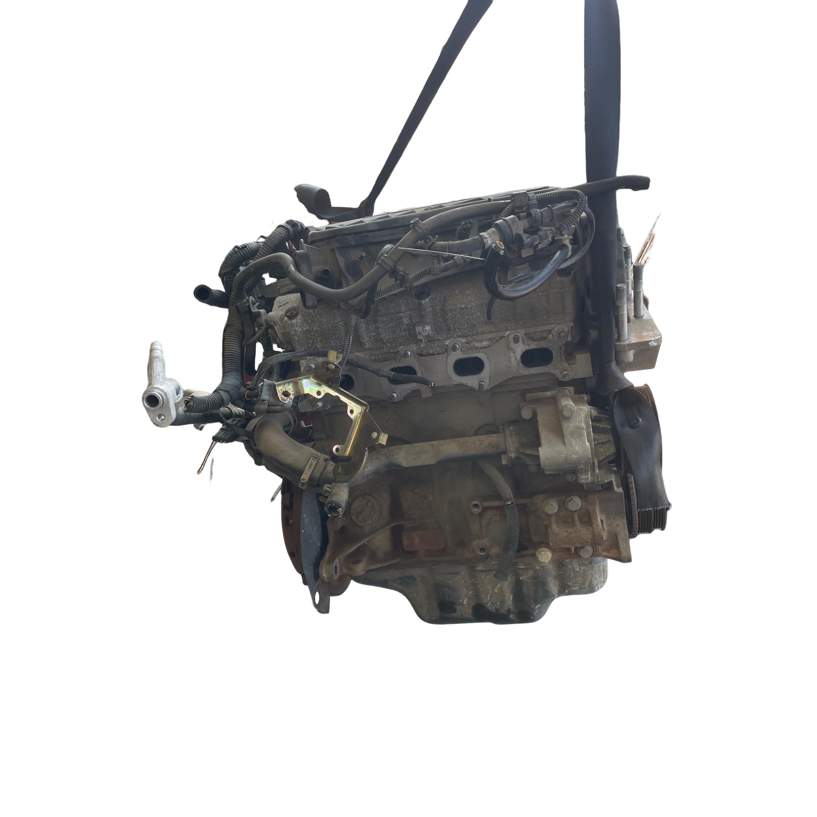 Miniatura 6