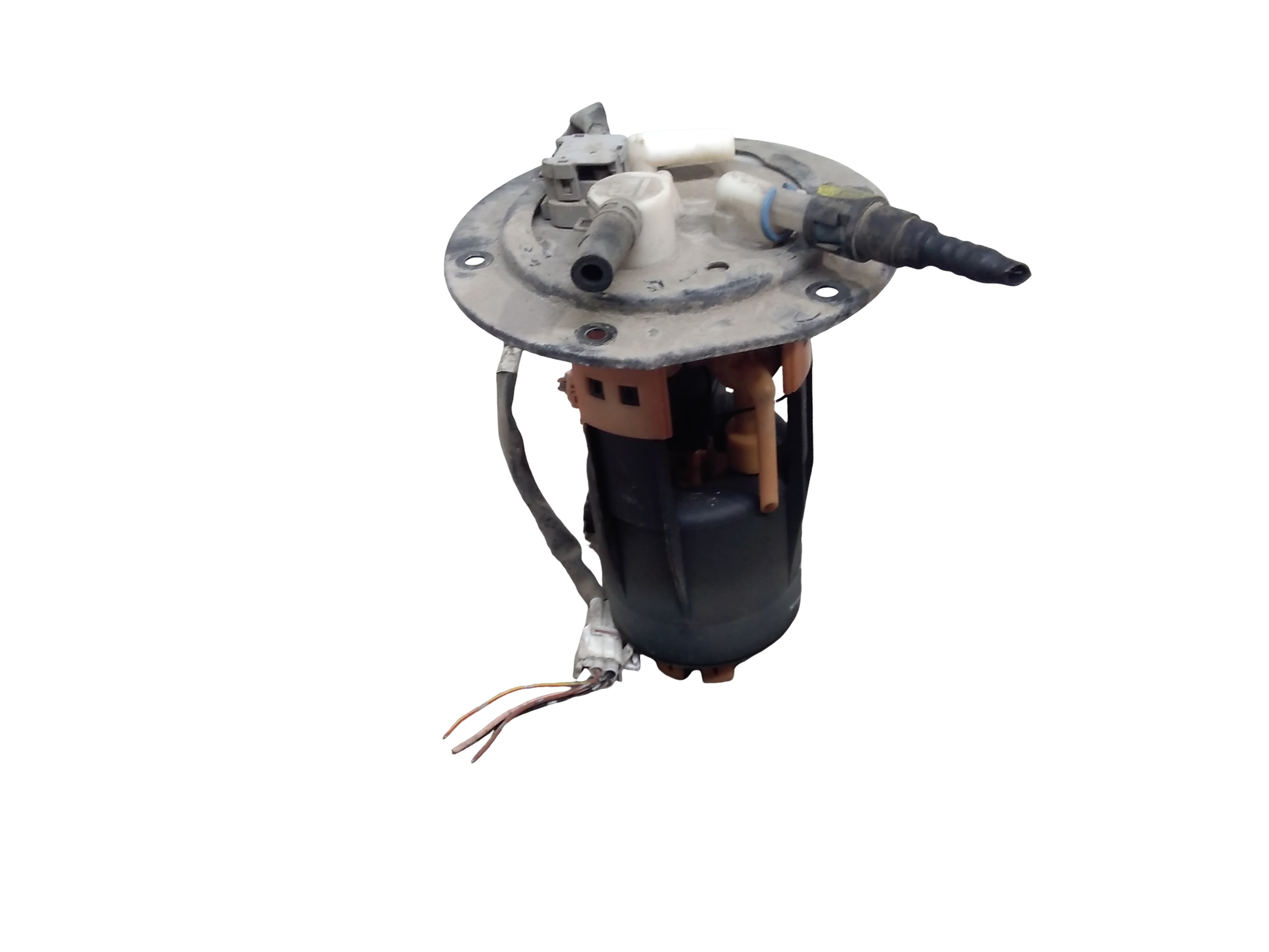 Miniatura 3